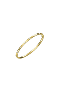 ESSENTIAL SOLITAIRE bangle