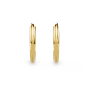 Floating Hoop Earrings