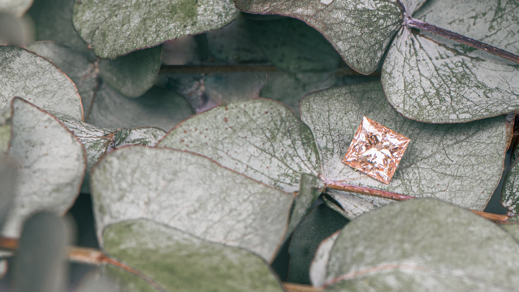 Lab-grown Diamant als Princess Cut in Fancy Pink.