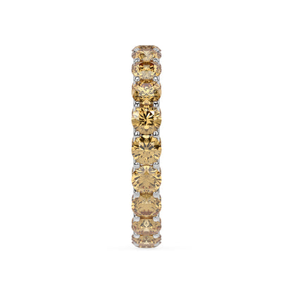 CHAMPAGNE MODERN MEMORY RING I ROUND
